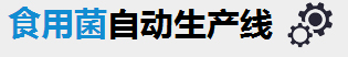 ʳþa(chn)