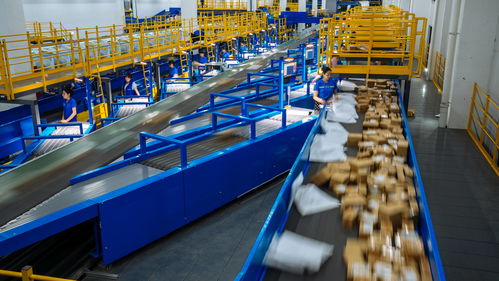 春節快遞不打烊 多家公司回應，商務服務不打烊成新常態